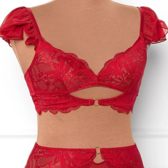 New Mentionables Red Lace Mesh Keyhole Bralette & High Leg Crotchless Panty Smal - Picture 3 of 14